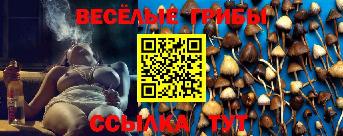 Галлюциногенные грибы MAGIC MUSHROOMS Волоколамск