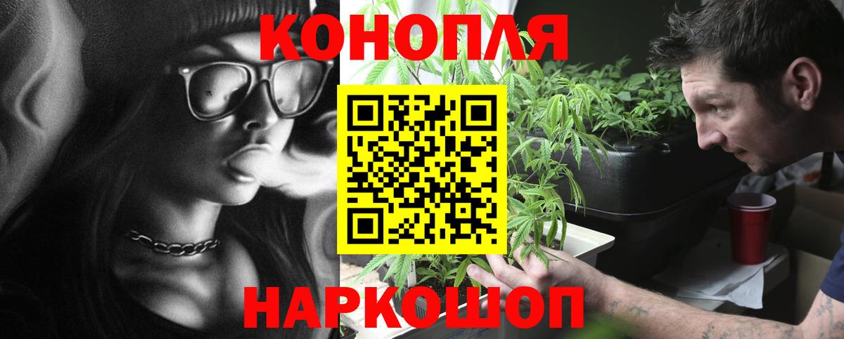 Канабис семена Волоколамск